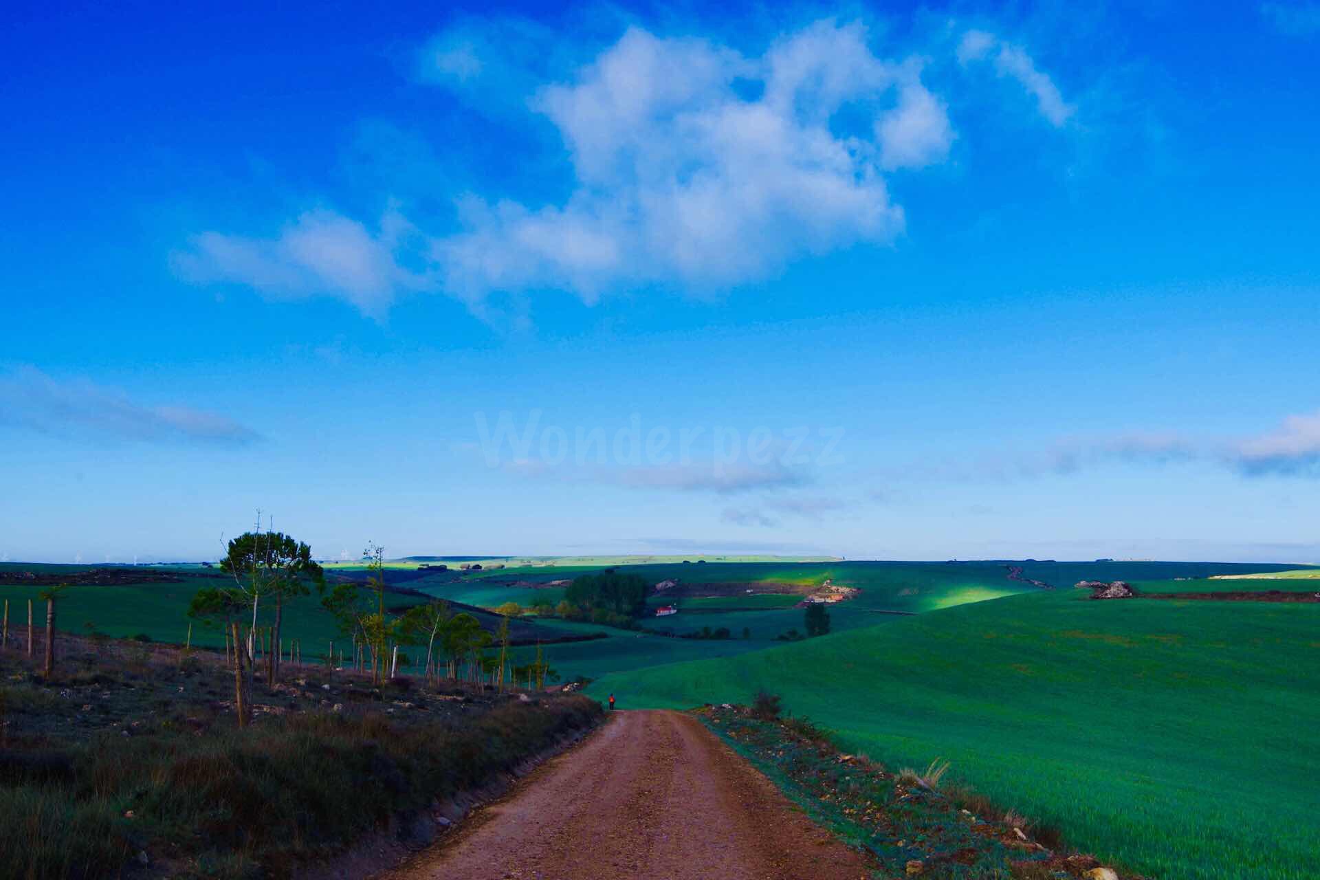 写真表紙青空平原