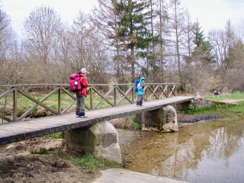 片側手摺り木の橋二人