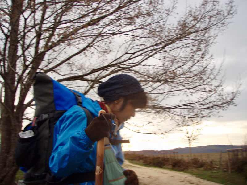 おかん、気を取り直す横顔