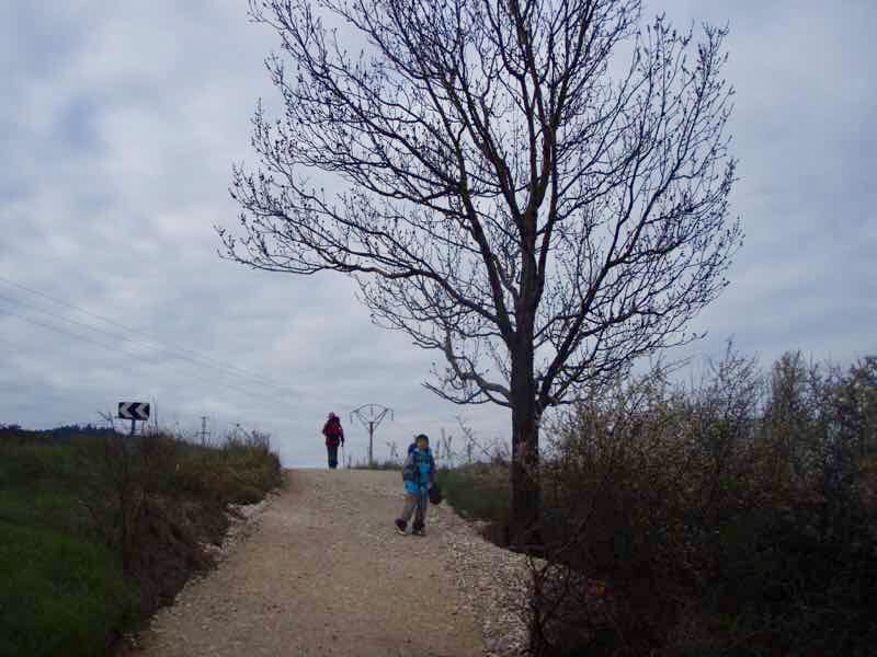 パンプローナ道2人木の下