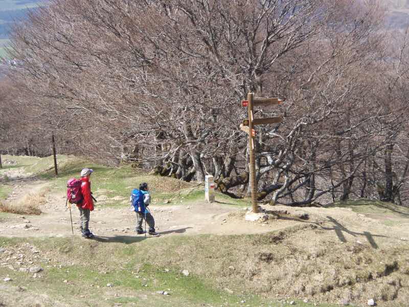 ピレネー立て札子どもたち