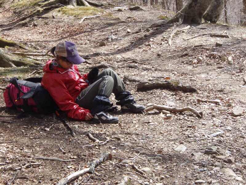 ピレネー姉座り休む