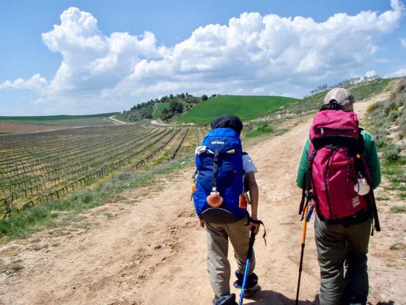 425伝茶ワインディング