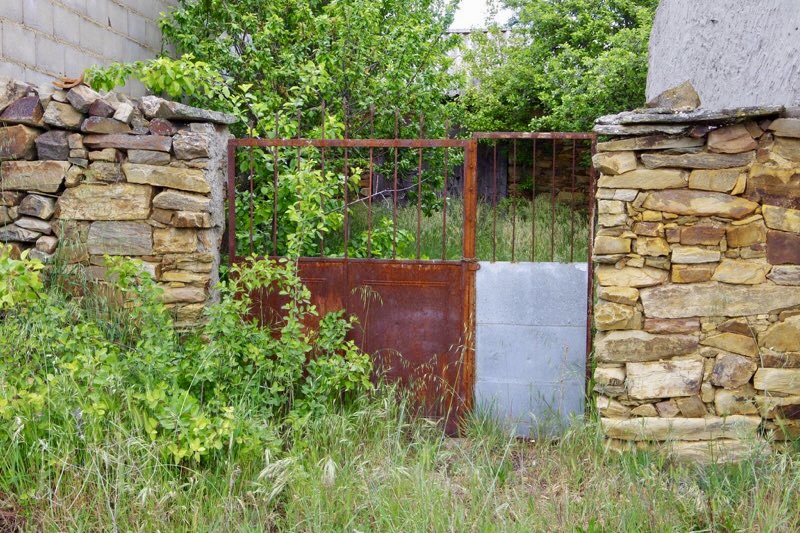 スエ雑草3枚ドア