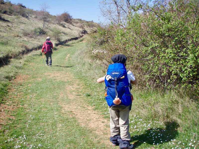 425田舎みち伝茶
