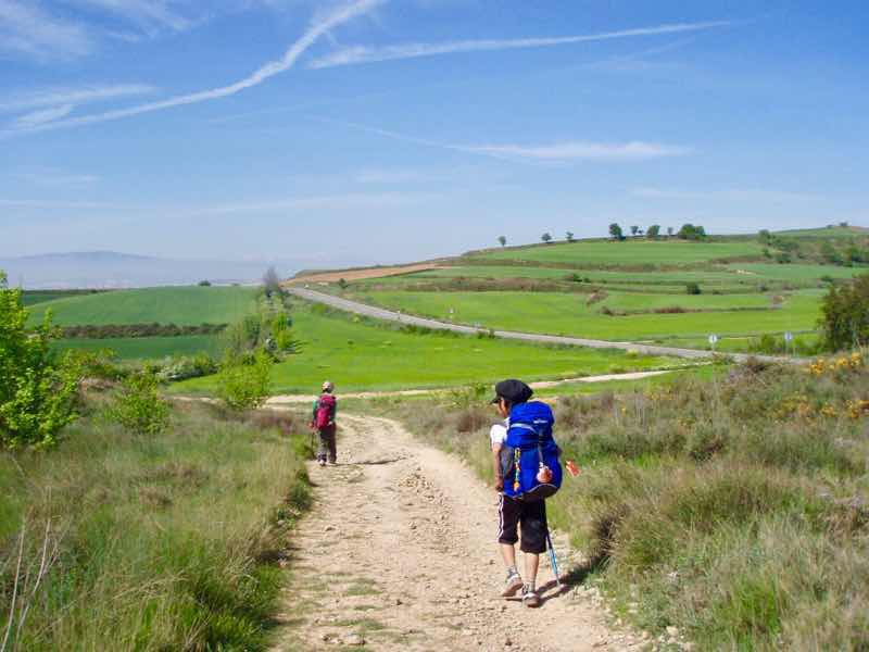 427伝茶ワインディング