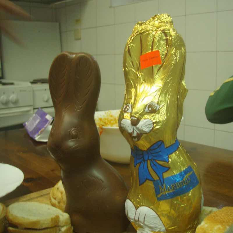 427イースターバーニーチョコ