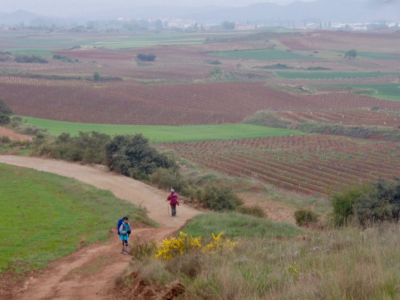 430見下ろす伝茶