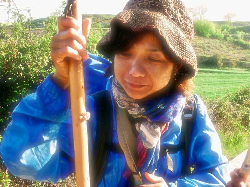 427カプかたつむり