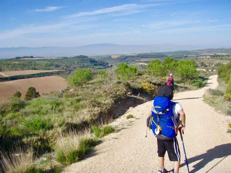 427伝茶山道もくもく
