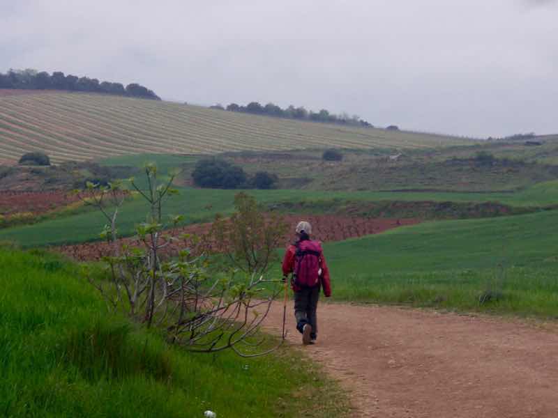 430田舎みち茶ひとり歩く