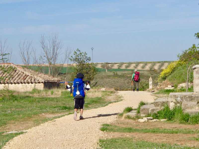 427伝茶さきに土手がみえる