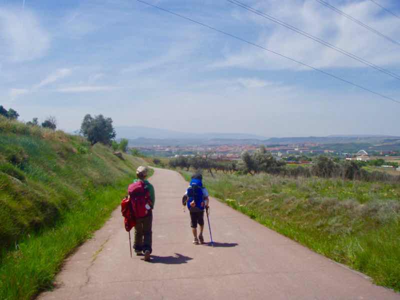428道伝茶まっすぐ