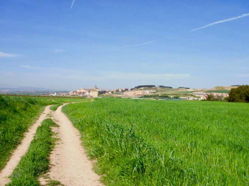 427遠くまっすぐにビアナ