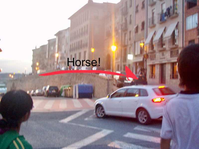 427馬が街を走る