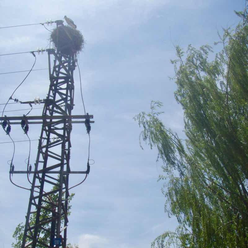 428コウノトリ鉄柱