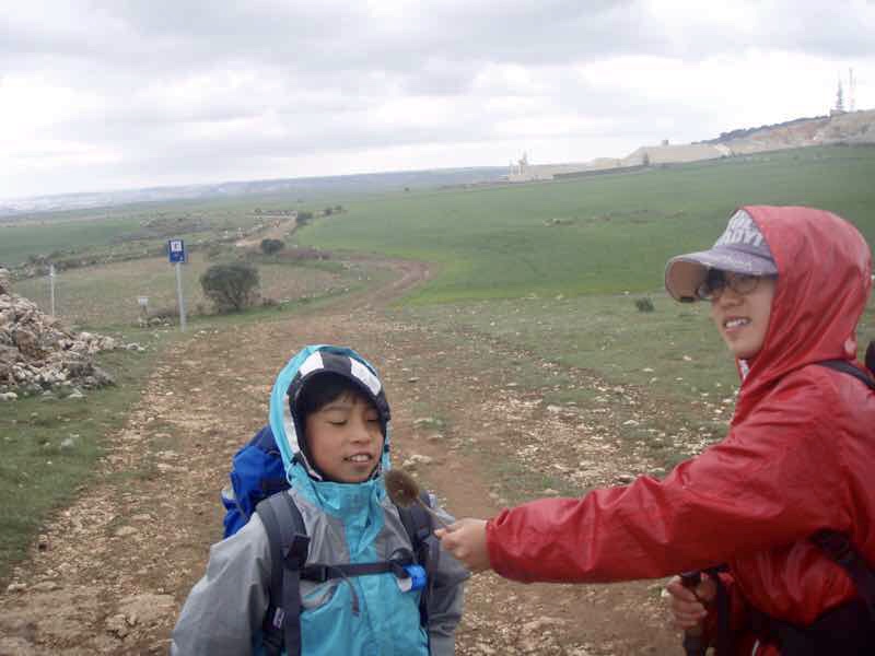 505変な実でインタビュー