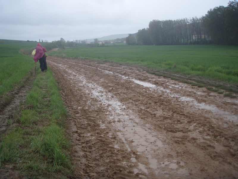 503泥の一本で道
