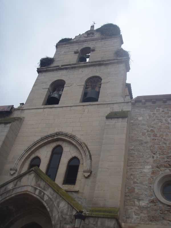 503コウノトリ教会