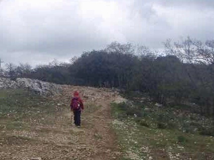 505ちゃい道寂し