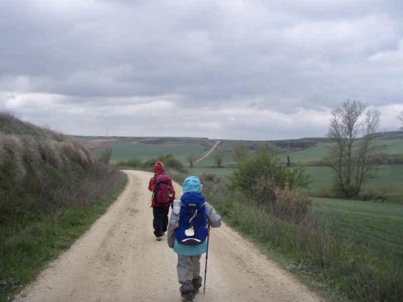 505長い伝茶一本道