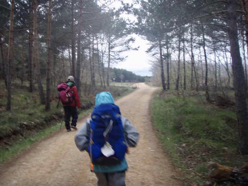 505歩き始め田舎道