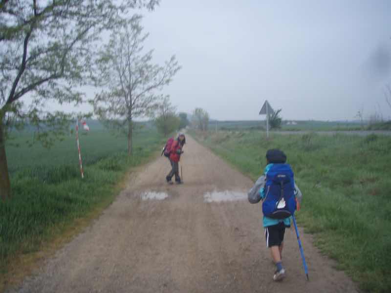 502茶振り返って