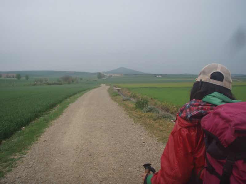 502茶道の向こう山