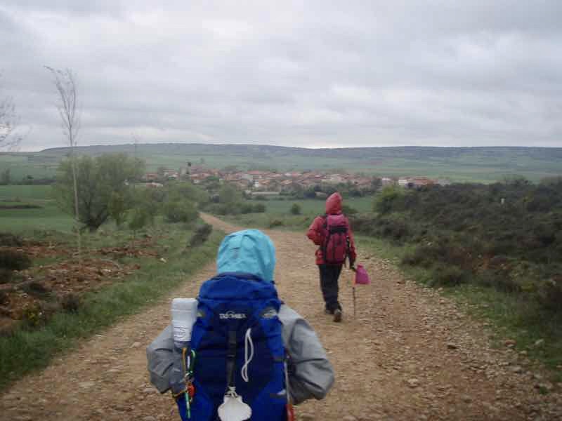 505まち見え伝茶