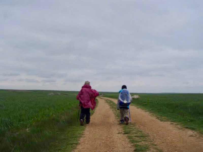 507メセタの大地、曇り空、左右に麦畑
