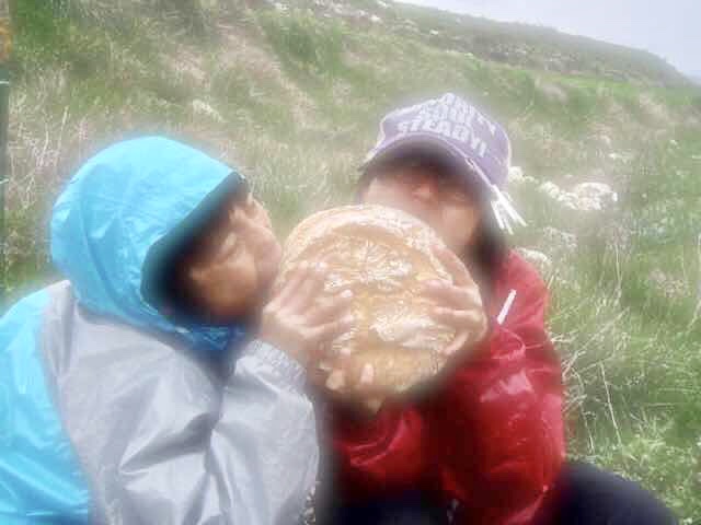 507カミーノ丸パンが美味い