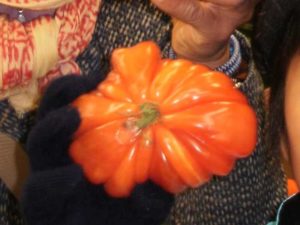 415サンジャンピエドポー、トマト、サンティアゴ巡礼