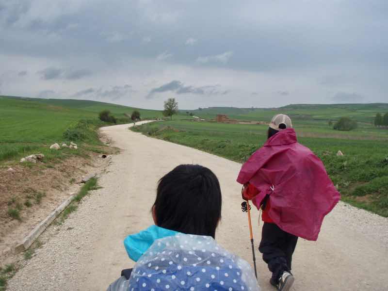 507メセタの大地1.2