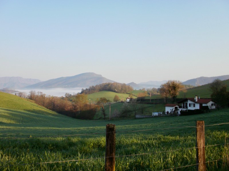 416カミーノ、サンティアゴ巡礼、ピレネー、サンジャンピエドポー山道の霧