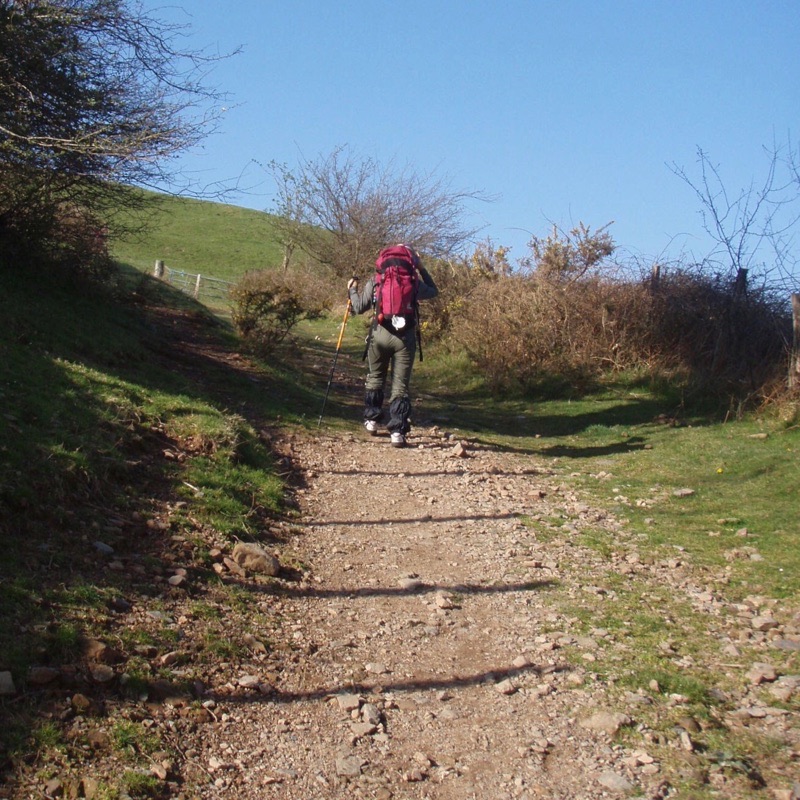 416カミーノ、サンティアゴ巡礼、ピレネー、オリソン手前山道1
