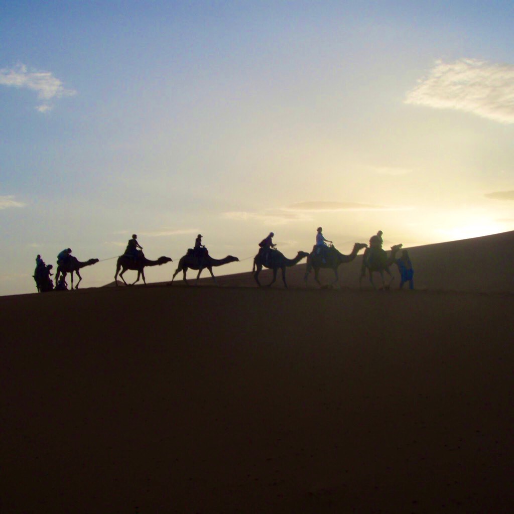 モロッコ、他の旅 砂漠ラクダ　Morocco another travels