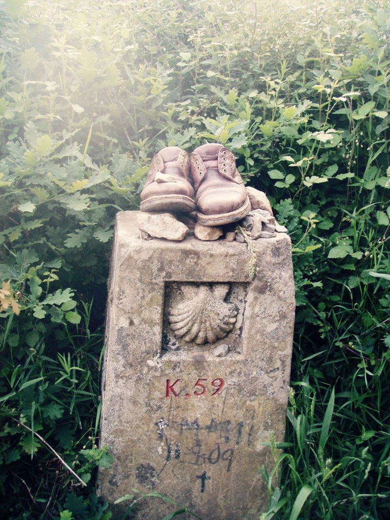 カミーノ 靴 道標 草