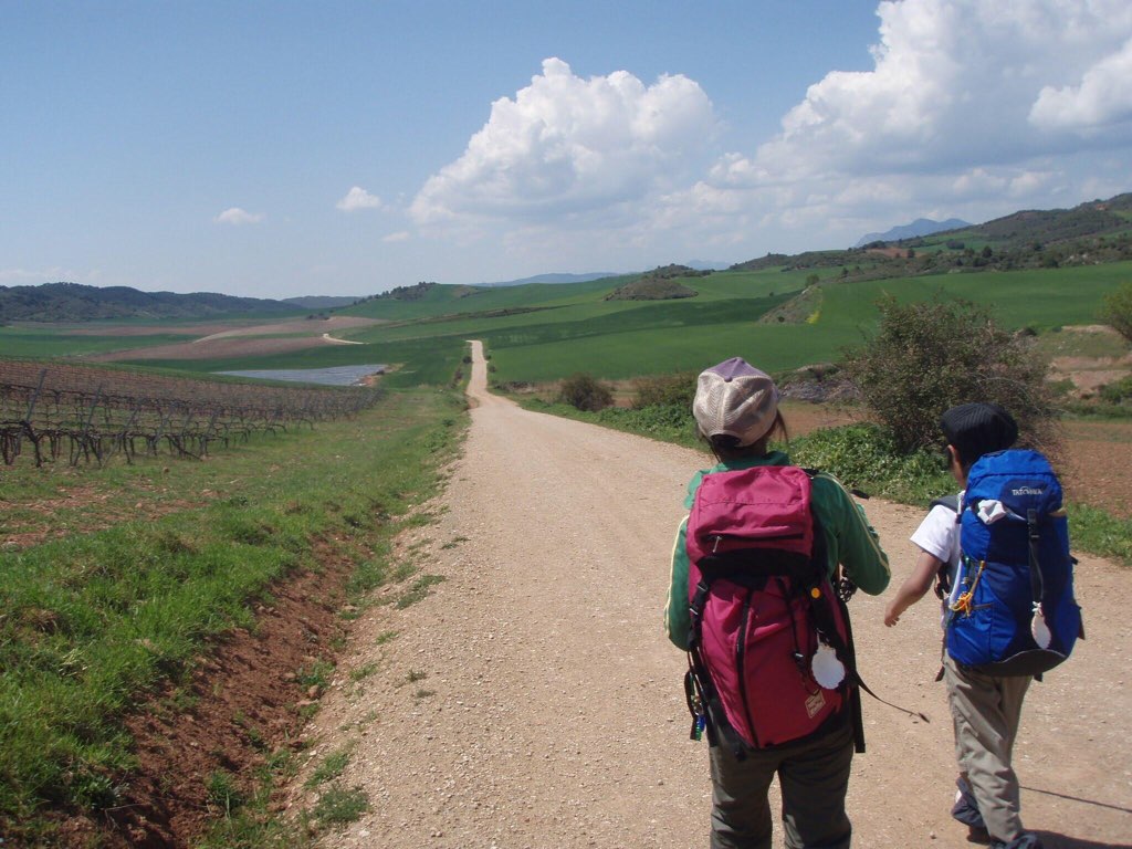 カミーノ 晴れた 田舎道 続く 1.2