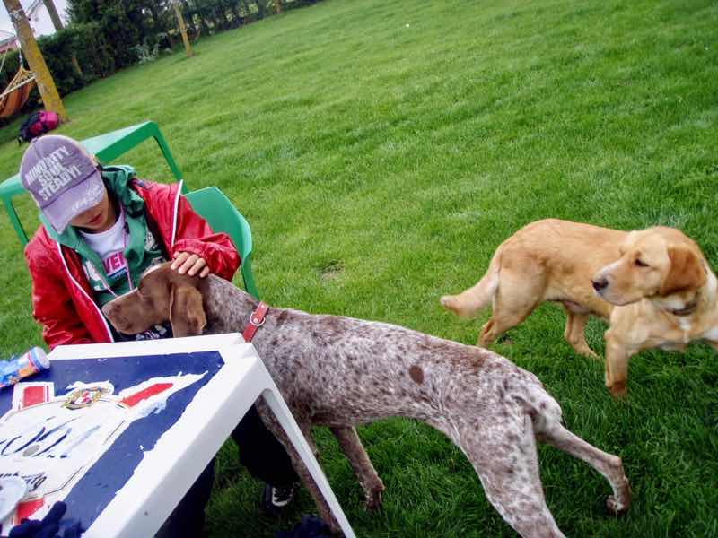 511ビラメンテロ・デ・カンポス カミーノ 犬アパスシエテと1