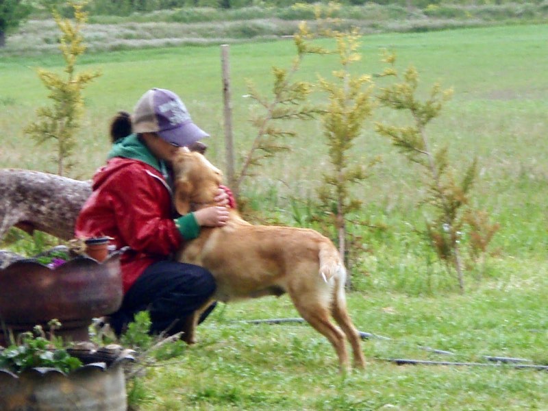 511ビラメンテロ・デ・カンポス カミーノ 犬アパスと1