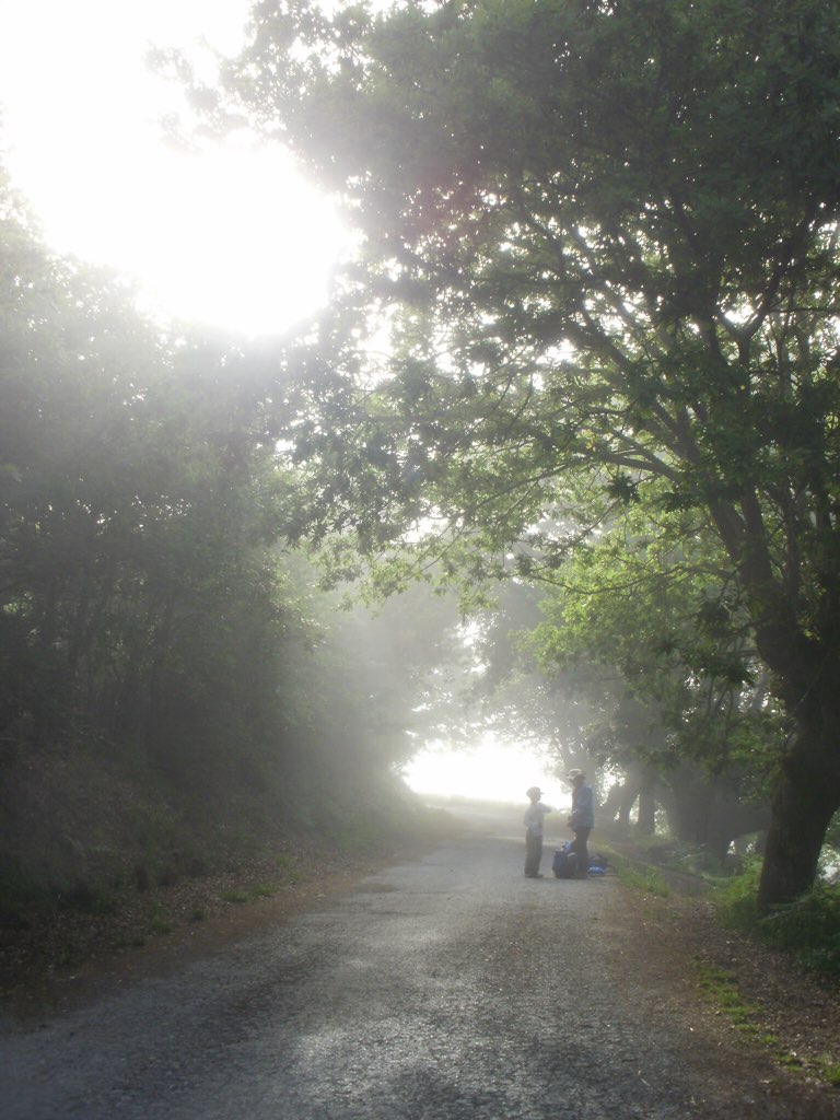 カミーノ 公園 朝焼け 木漏れ日1.2