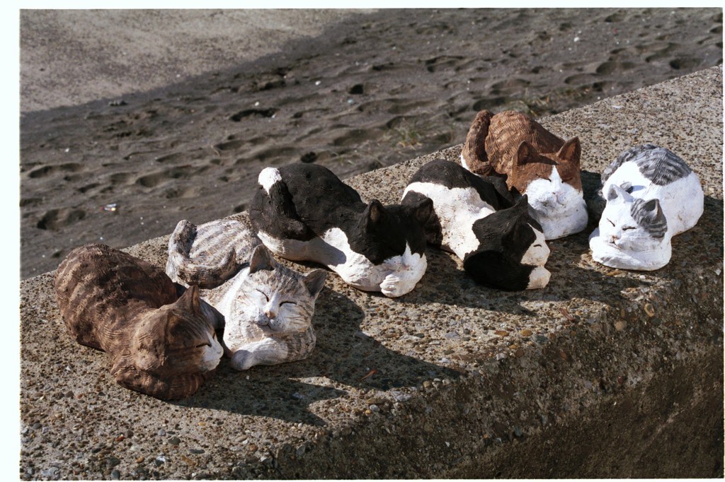 clay cats 6 粘土、陶器ねこ　カミーノ工房