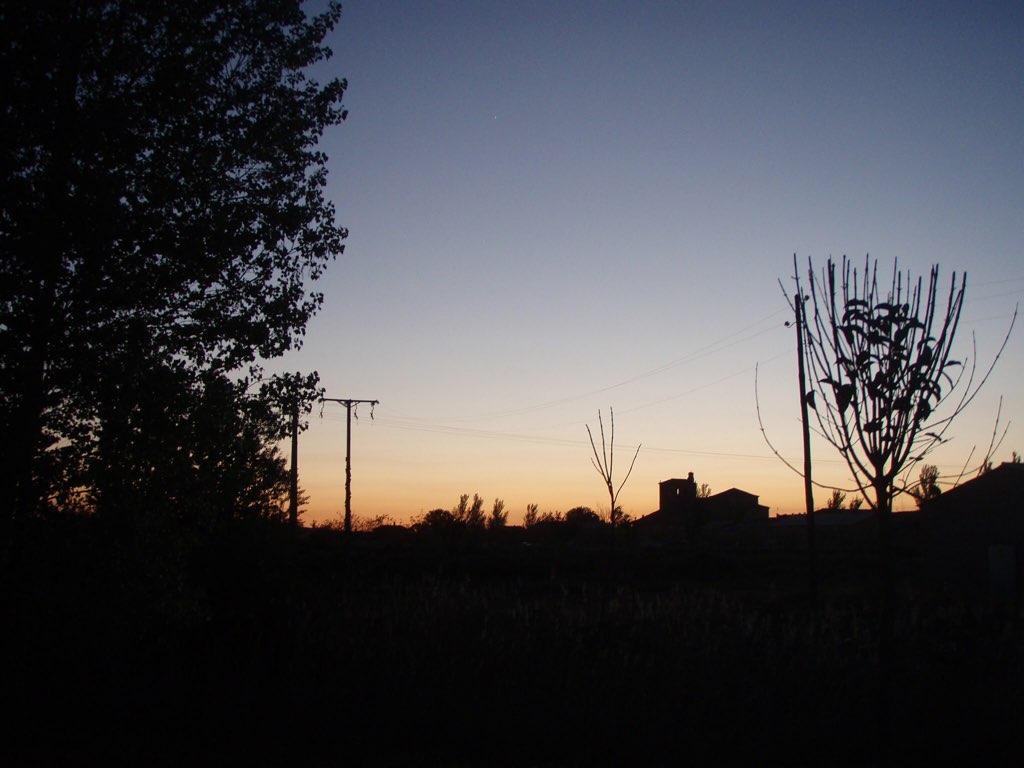 カミーノ 左 木の影 夕焼け