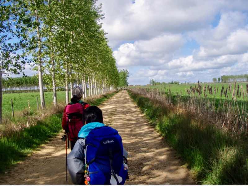 510ポブラシオン・デ・カンポス、サンティアゴ巡礼、美しい道1.2