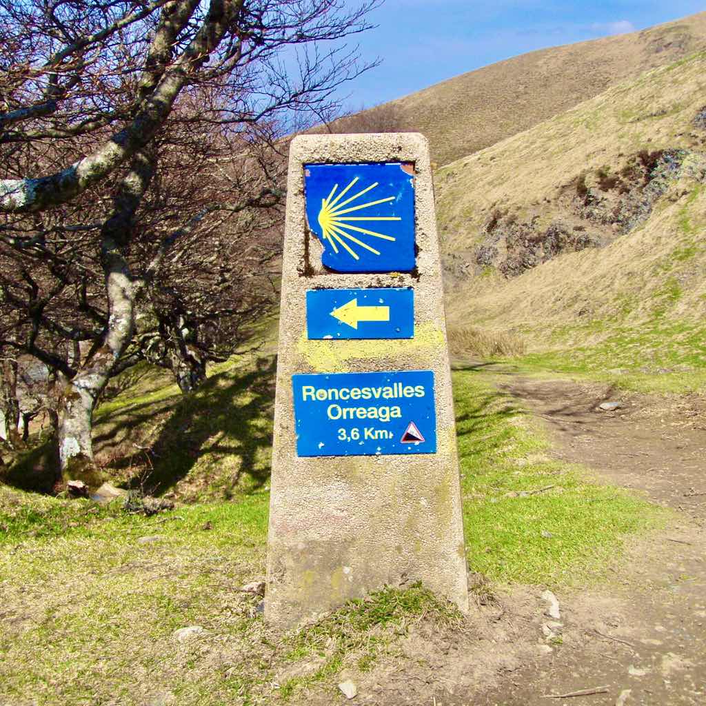 Camino arrow カミーノ矢印