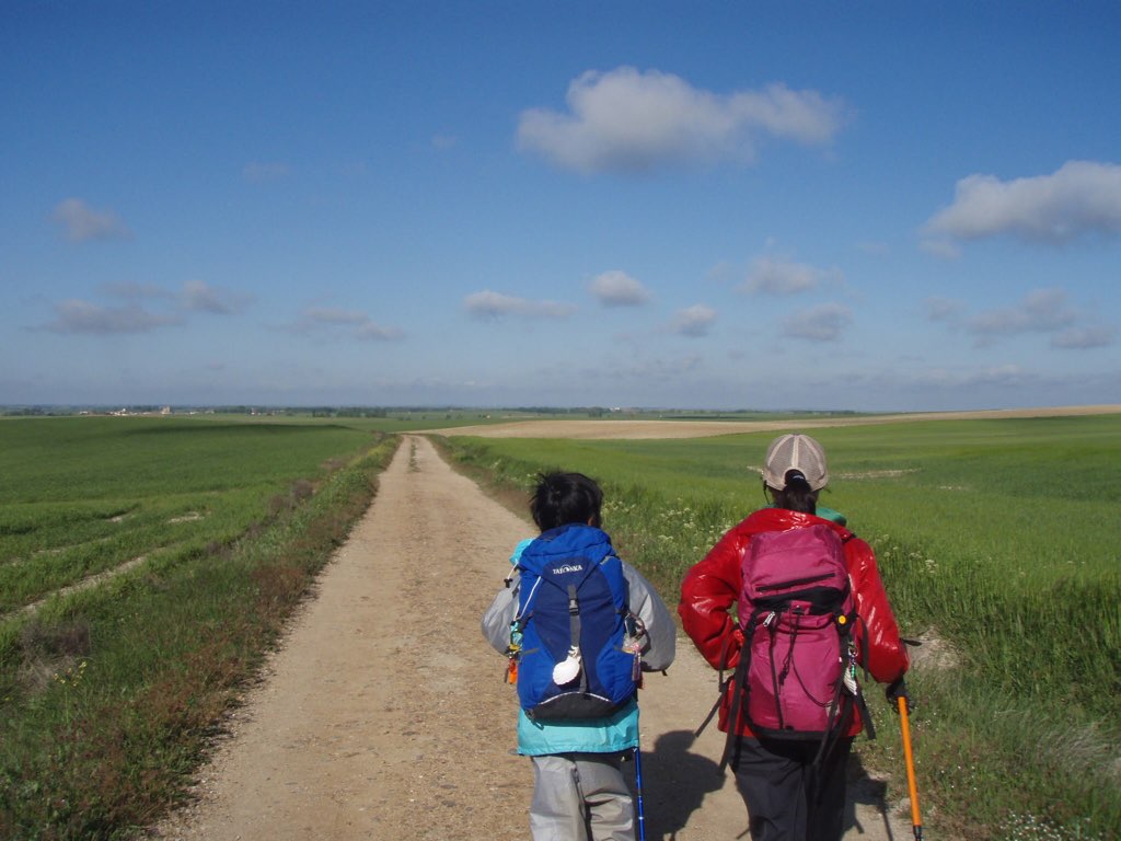 カミーノ晴れ、道、メセタ大地
