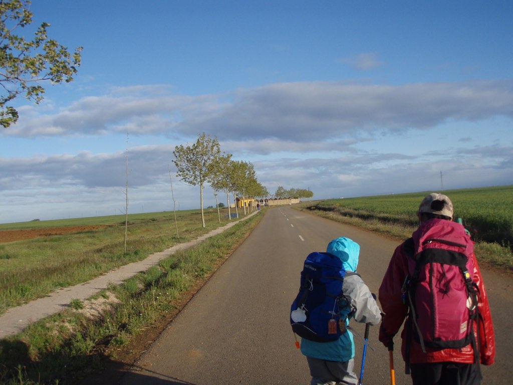 カミーノ 朝焼け、アスファルトの道