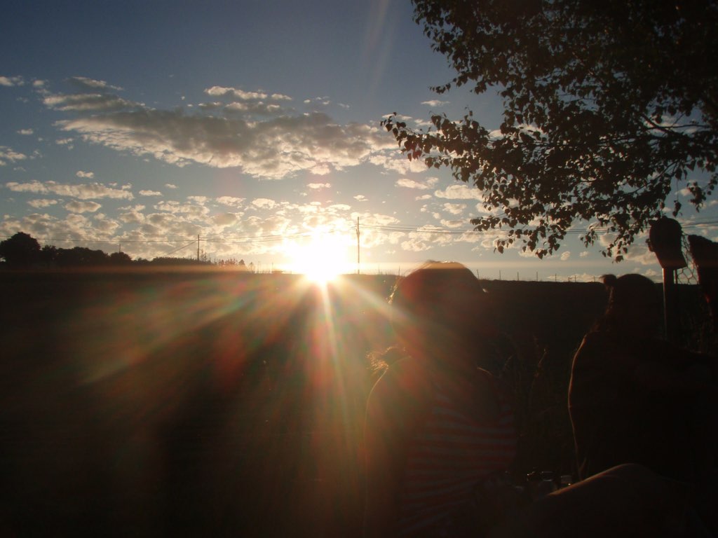 カミーノ 金網野原 夕焼け