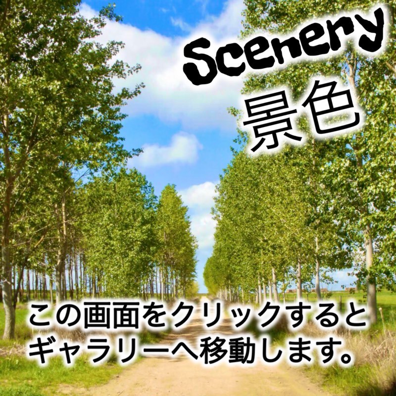 Camino senery カミーノ 景色