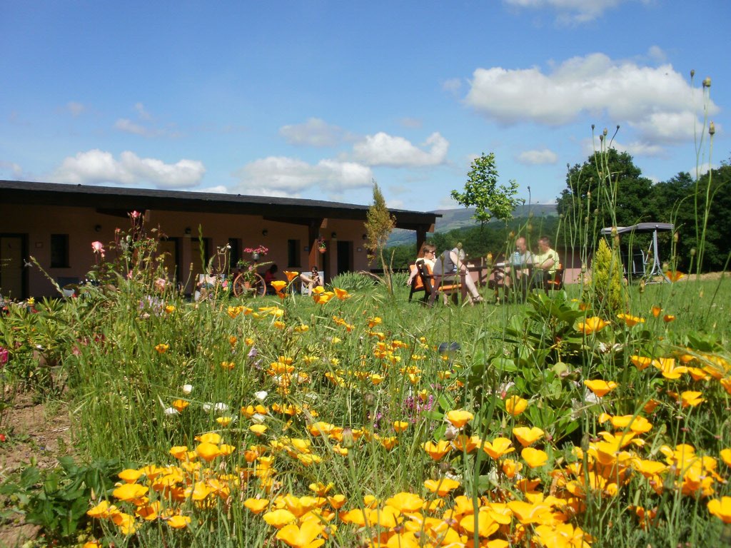 カミーノ アルベルゲ 庭、黄色花